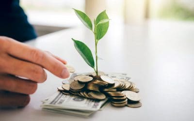 Geld anlegen für Anfänger erklärt. In 2 Schritten zum Investor