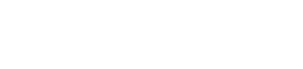 Fiscally logo
